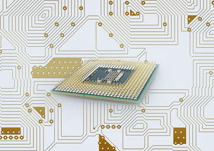 开云体育在线赛事直播-中国篮球联赛品牌建设策略与粉丝经济发展路径研究，篮球品牌市场占有率