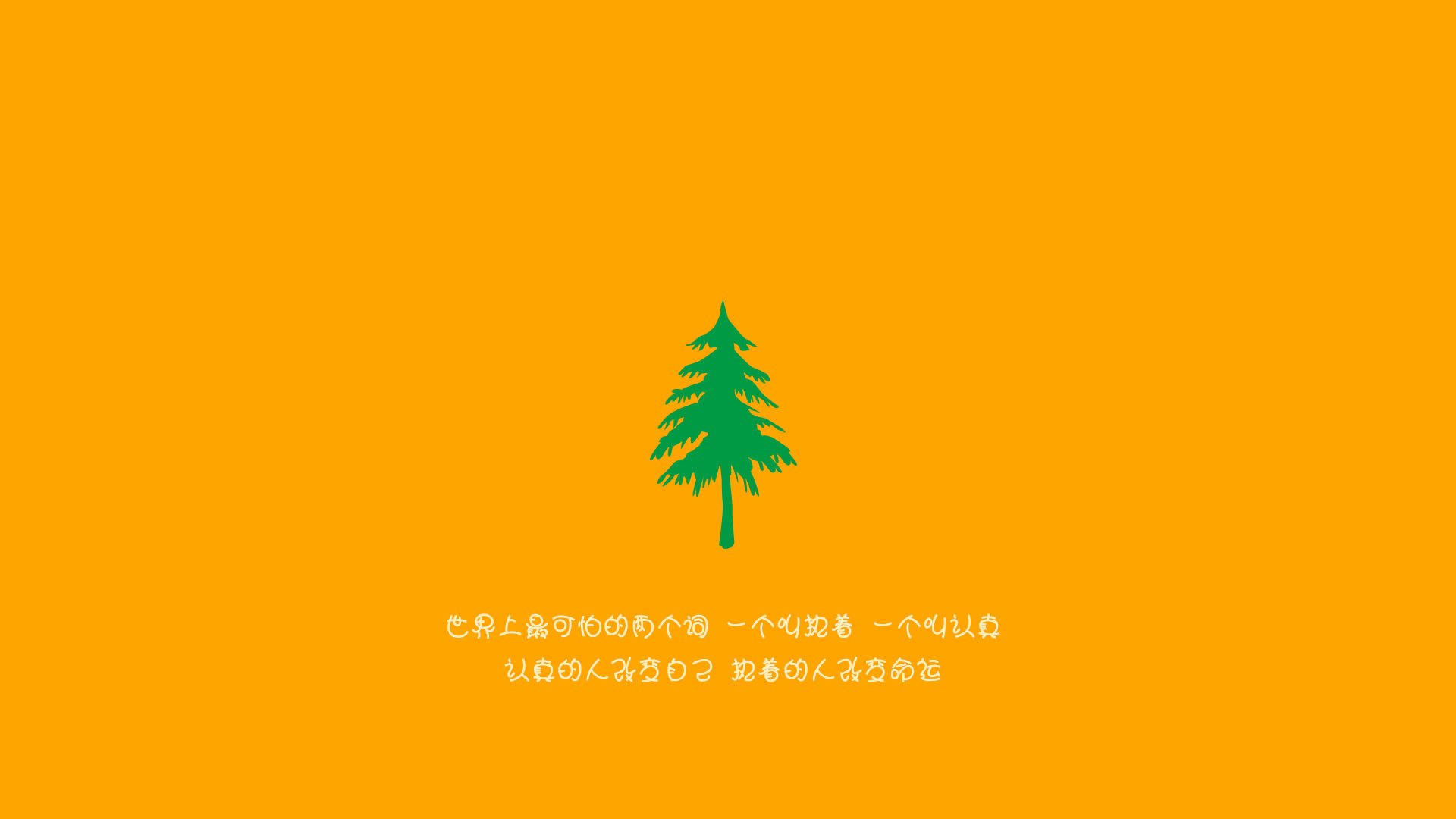 运动员训练效果监控系统，运动员训练监控方法