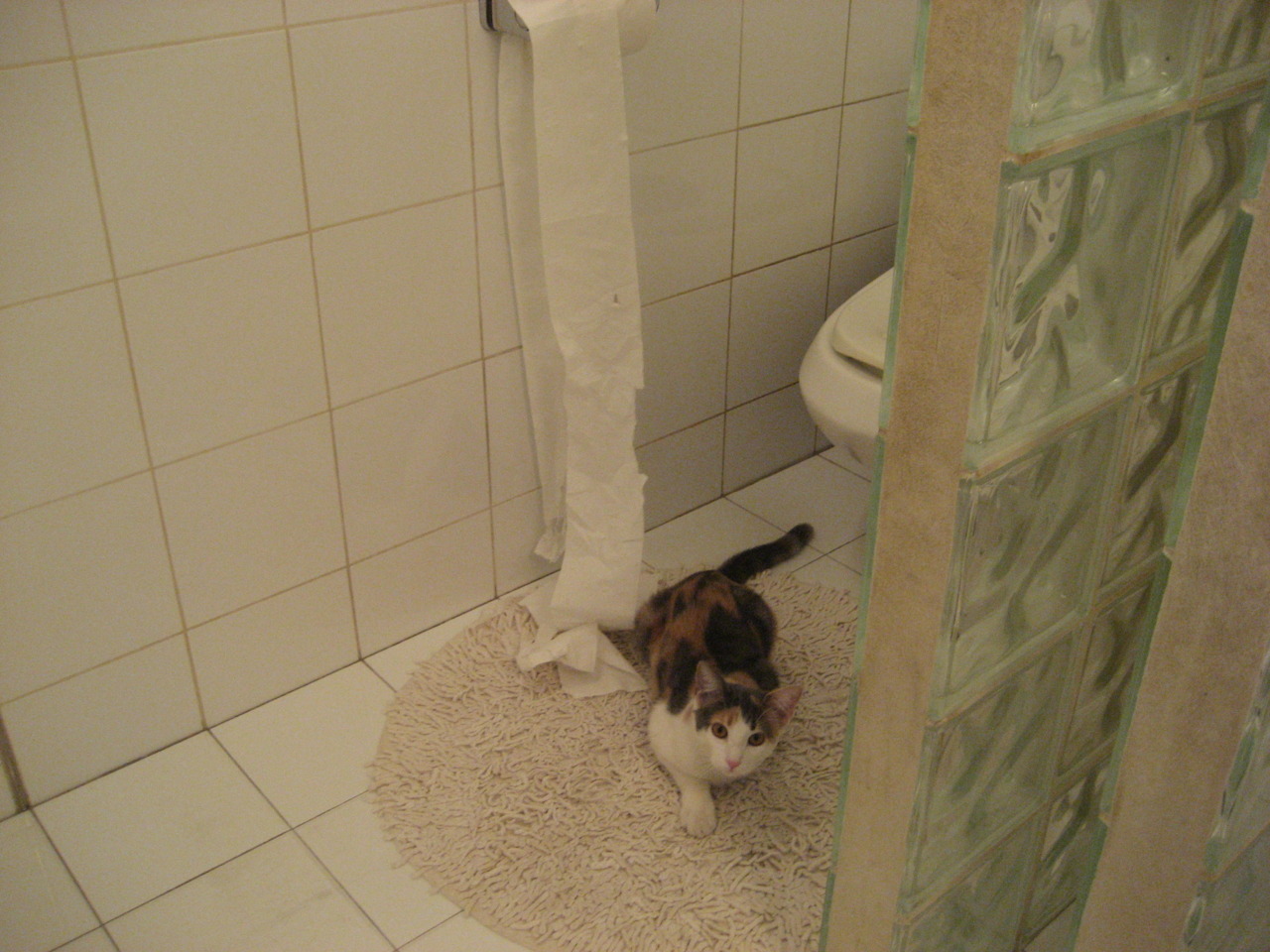 开云网页版登录入口-中甲俱乐部搭建线上球迷社群增强支持互动感，足球联赛交流群