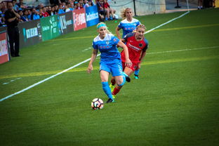 中国篮球职业联赛俱乐部青训体系实践，全国篮球俱乐部青年联赛