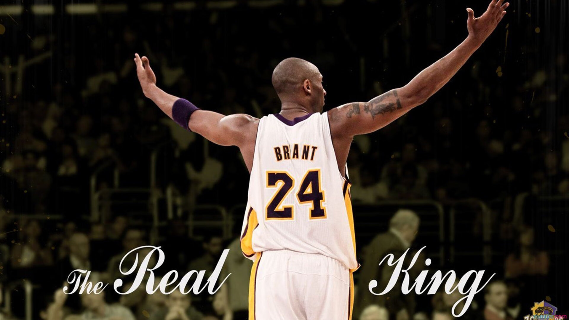 退役国手成立篮球公益机构致力推广基础教学与文化传承，公益性篮球馆